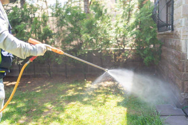 Best Pest Prevention Services  in Tyrone, OK